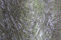 Terrington St Clement fibreglass roof work